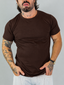 Camiseta Slim Bold