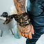 Lenço Leopard Leather